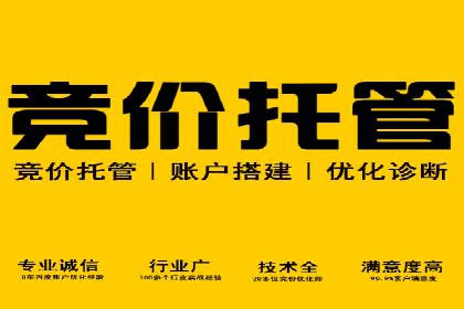 探索信息流广告投放公司的成功案例与经验